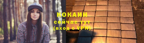МДПВ Ельня