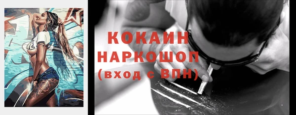 МДПВ Ельня