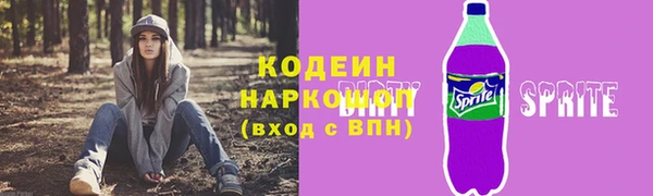 МДПВ Ельня