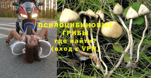 МДПВ Ельня