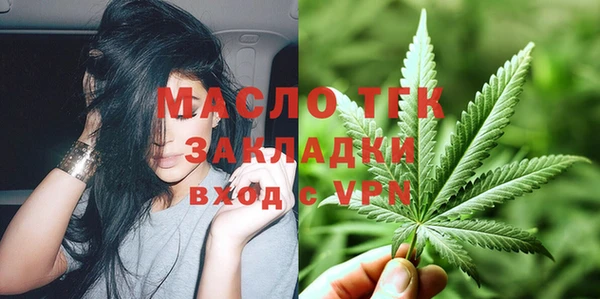 МДПВ Ельня