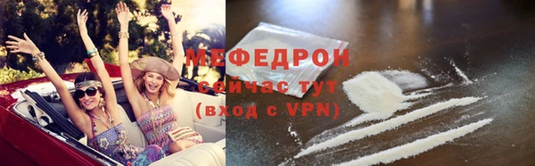 МДПВ Ельня